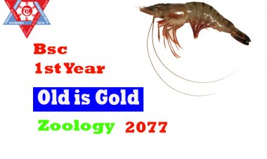 Zoology Question-2077(Bsc. I Year)