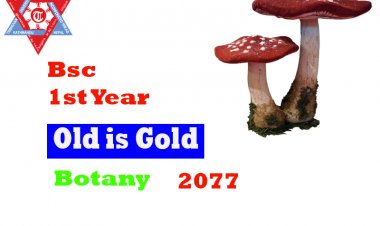 Botany  1st Year-2077(Old Questions)