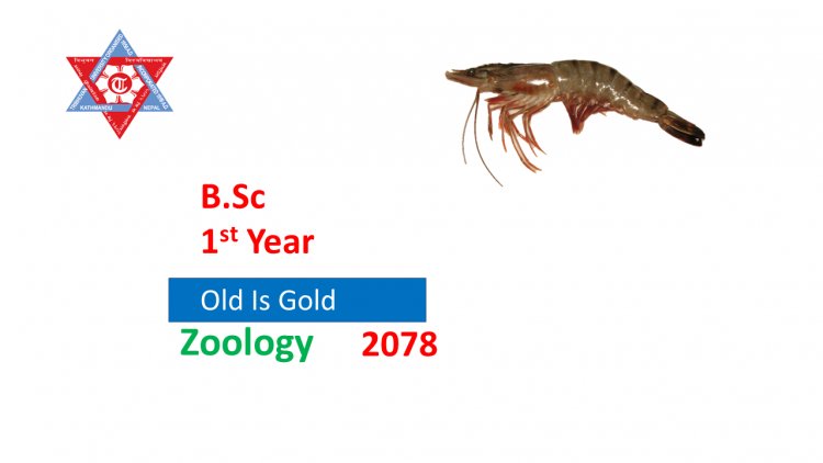 Zoology Question-2078(Bsc. I Year)