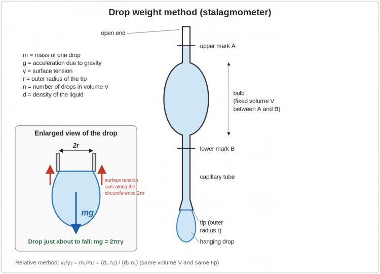 Diagram of a stalagmometer used in the drop weight method for measuring surface tension, showing the graduated bulb between upper mark A and lower mark B, the narrow capillary tip, and a hanging drop about to fall, with an enlarged inset showing surface tension acting upward around the circumference of the tip balancing the weight of the drop