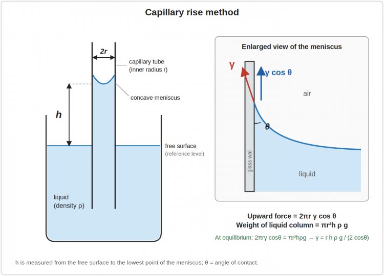 Diagram of the capillary rise method for measuring surface tension, showing a narrow capillary tube dipped in a liquid with the liquid risen to height h inside the tube, and an enlarged inset showing the surface tension force gamma acting along the tube wall at the angle of contact theta, with its vertical component gamma cos theta supporting the liquid column